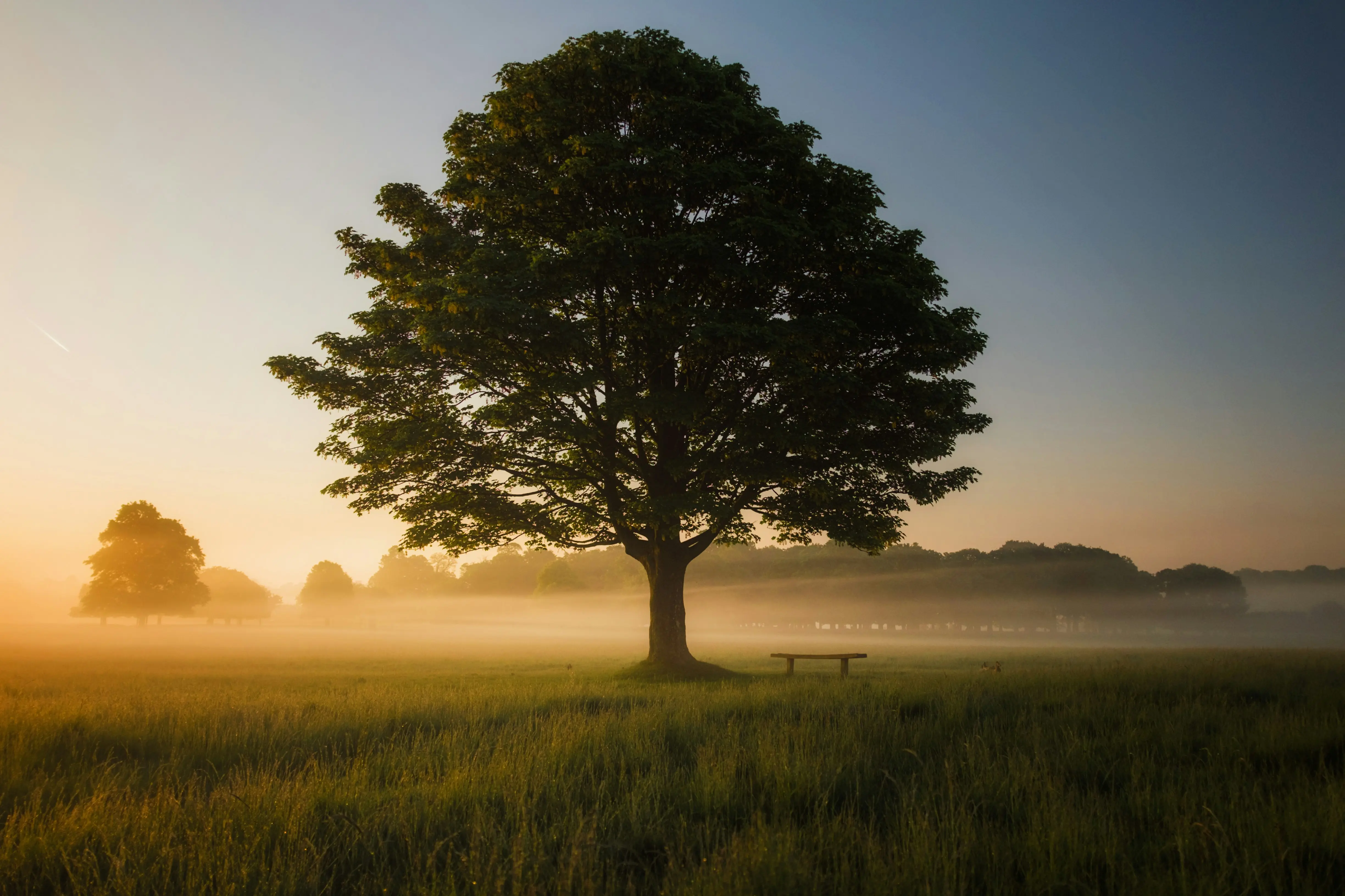 peace-and-quiet