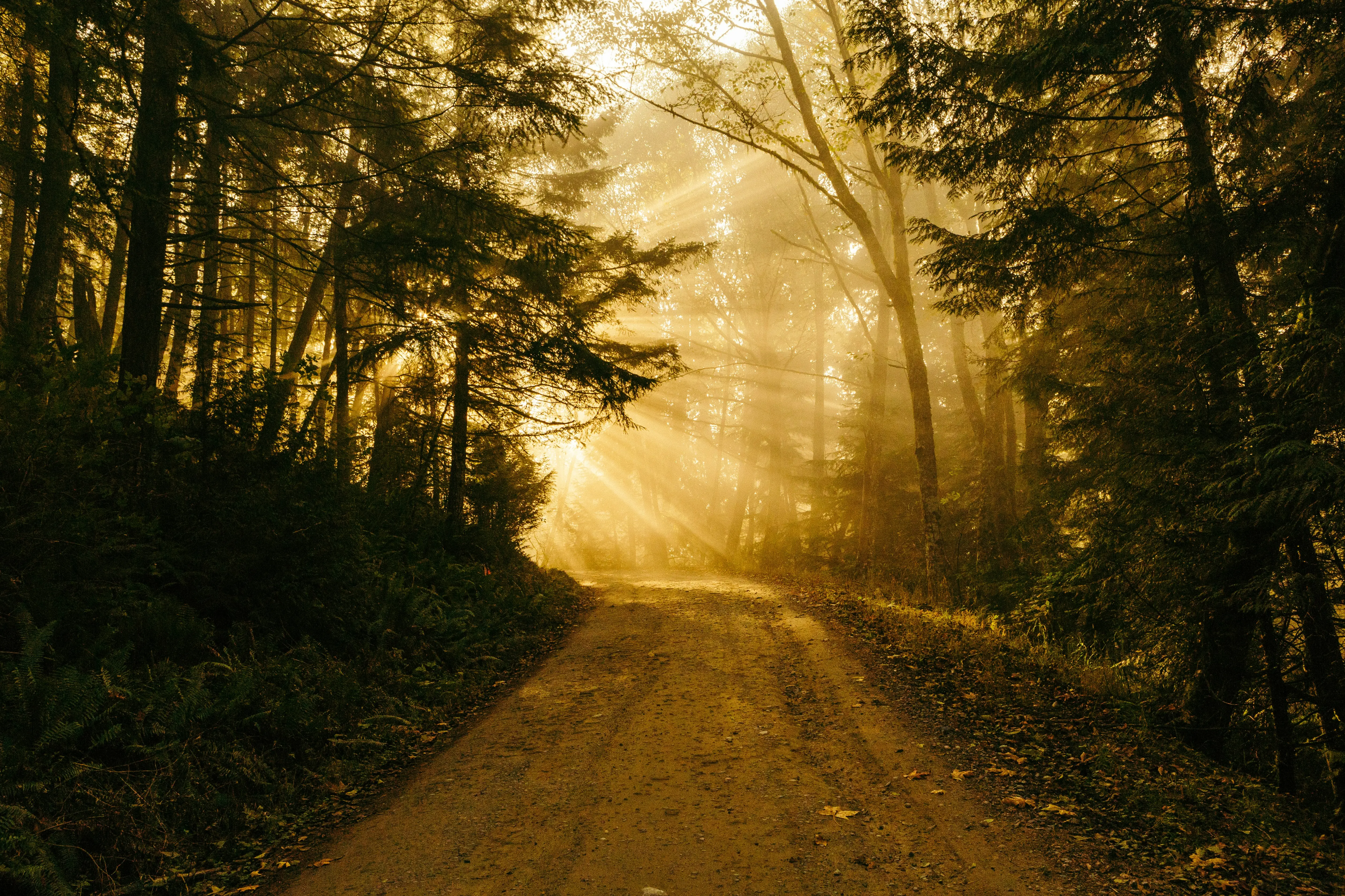 where-the-way-lead-to-hapiness